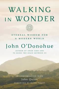 Walking in Wonder Summary