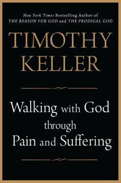 Walking with God through Pain and Suffering Summary