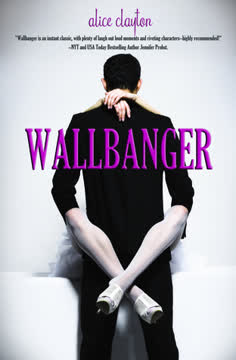 Wallbanger Summary