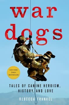 War Dogs Summary