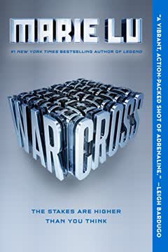Warcross Summary
