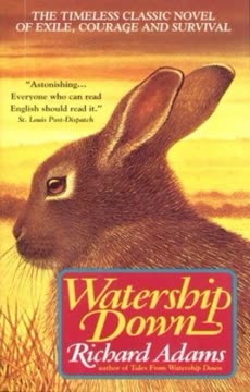 Watership Down Summary