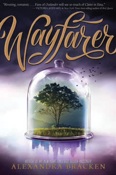 Wayfarer Summary