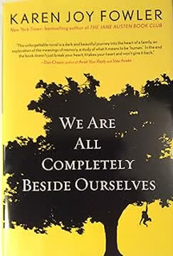 We Are All Completely Beside Ourselves Summary