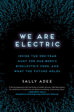 We Are Electric Summary