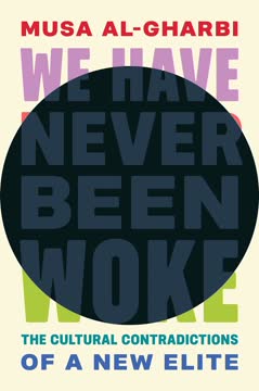 We Have Never Been Woke Summary