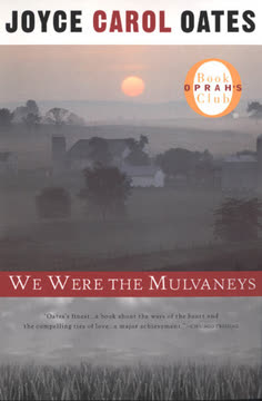 We Were the Mulvaneys Summary