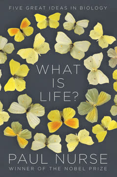 What Is Life? Summary