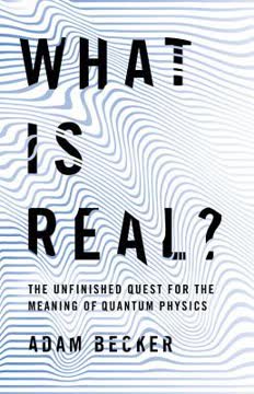 What Is Real? Summary