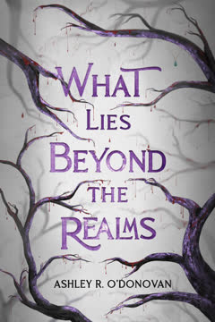 What Lies Beyond the Realms Summary