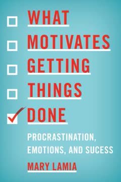 What Motivates Getting Things Done Summary