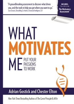 What Motivates Me Summary