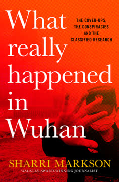 What Really Happened in Wuhan Summary
