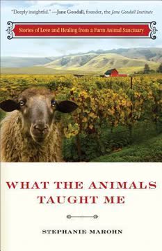 What the Animals Taught Me Summary