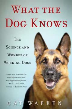 What the Dog Knows Summary