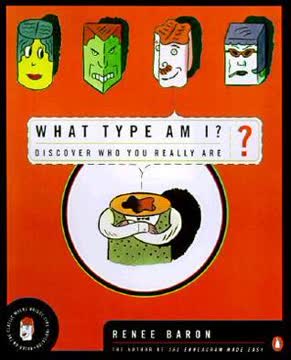 What Type Am I? Summary