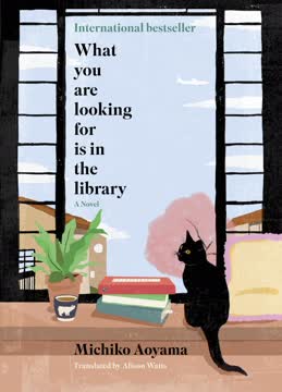 What You Are Looking For Is in the Library Summary