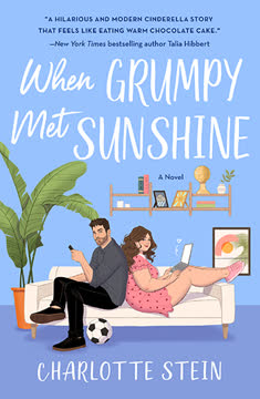 When Grumpy Met Sunshine Summary