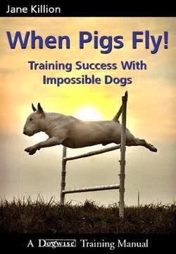 When Pigs Fly! Summary