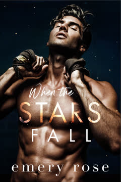 When the Stars Fall Summary