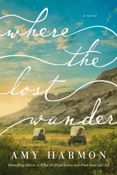 Where the Lost Wander Summary