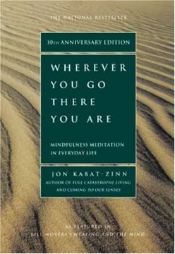 Wherever You Go, There You Are Summary