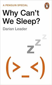 Why Can&#039;t We Sleep Summary