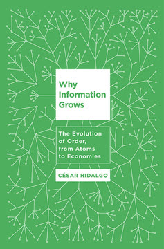 Why Information Grows Summary