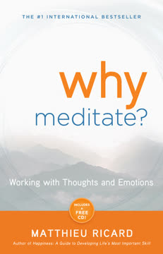 Why Meditate Summary