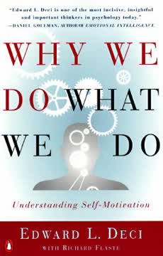 Why We Do What We Do Summary