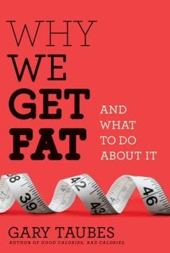 Why We Get Fat Summary