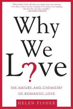 Why We Love Summary