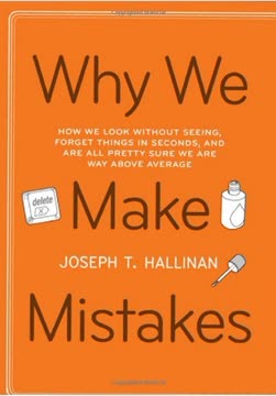 Why We Make Mistakes Summary