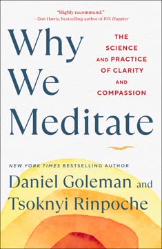 Why We Meditate Summary