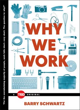 Why We Work Summary