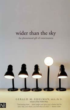 Wider Than the Sky Summary