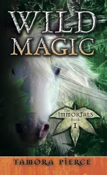 Wild Magic Summary