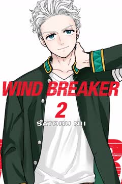 WIND BREAKER, Vol. 2 Summary