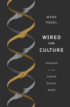 Wired for Culture Summary