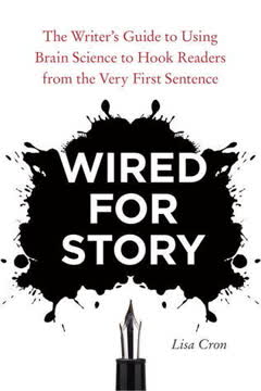 Wired for Story Summary