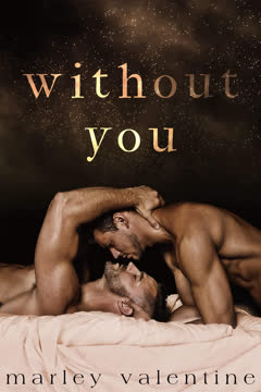 Without You Summary