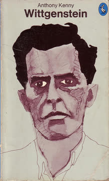 Wittgenstein Summary