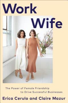 Work Wife Summary