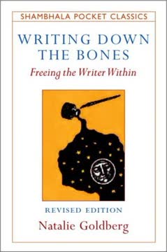 Writing Down the Bones Summary