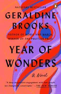 Year of Wonders Summary