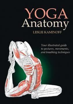 Yoga Anatomy Summary