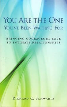 You Are The One You&#039;ve Been Waiting For Summary