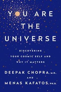 You Are the Universe Summary