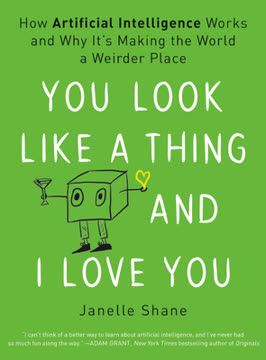 You Look Like a Thing and I Love You Summary
