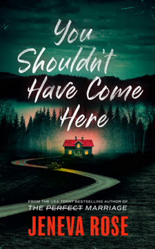 You Shouldn&#039;t Have Come Here Summary
